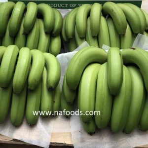Fresh Banana - Chuối tươi - 新鲜香蕉