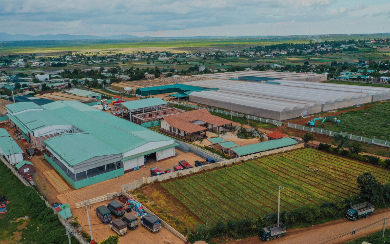 Tổ nông nghiệp công nghệ cao tây nguyên của ctcp nafoods group/Central Highlands high-tech agriculture group of nafoods group corporation
